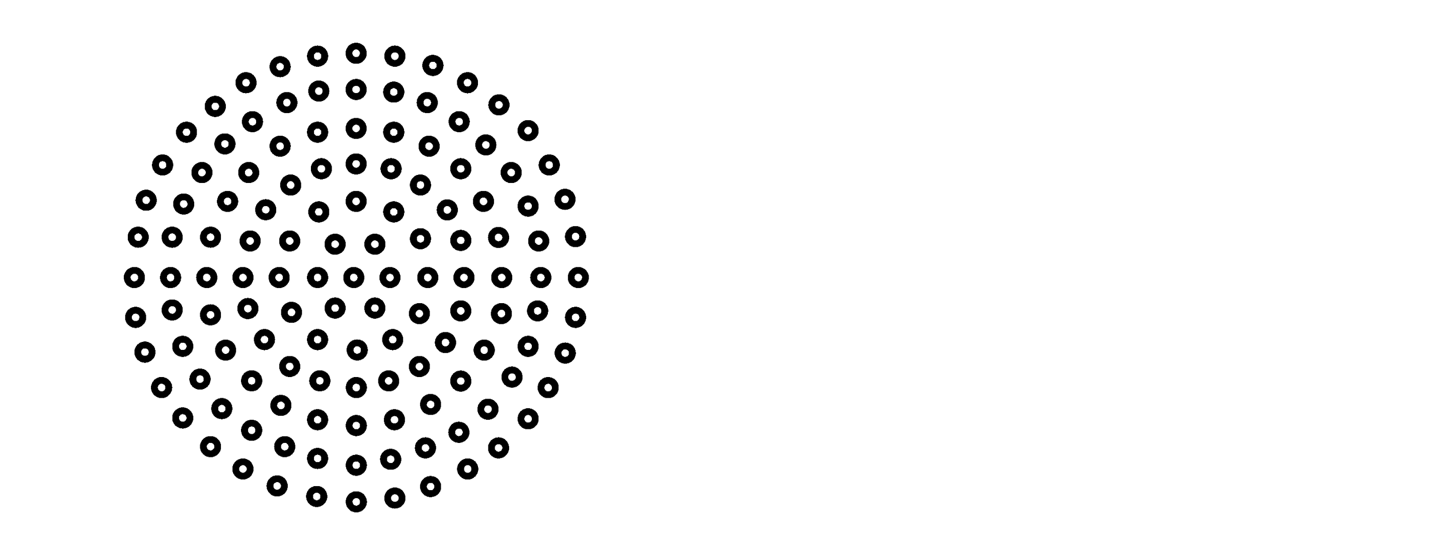 sportgeist